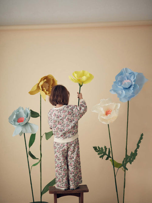 Kid Fille Sweatshirt Rosalia Ivory Ench Fields