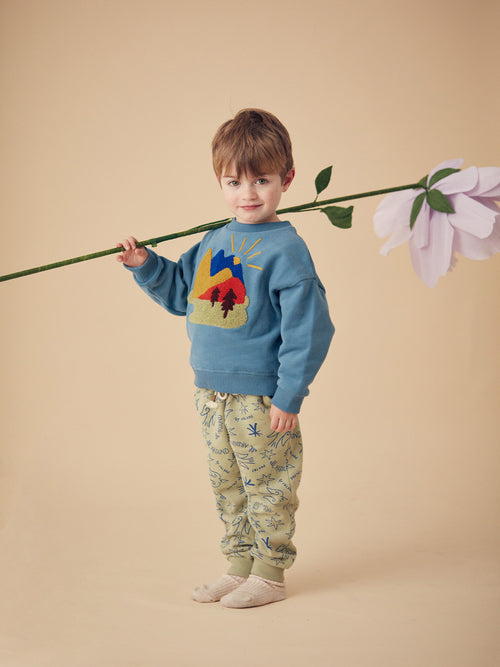 Kid Garçon Sweatshirt Sam Storm