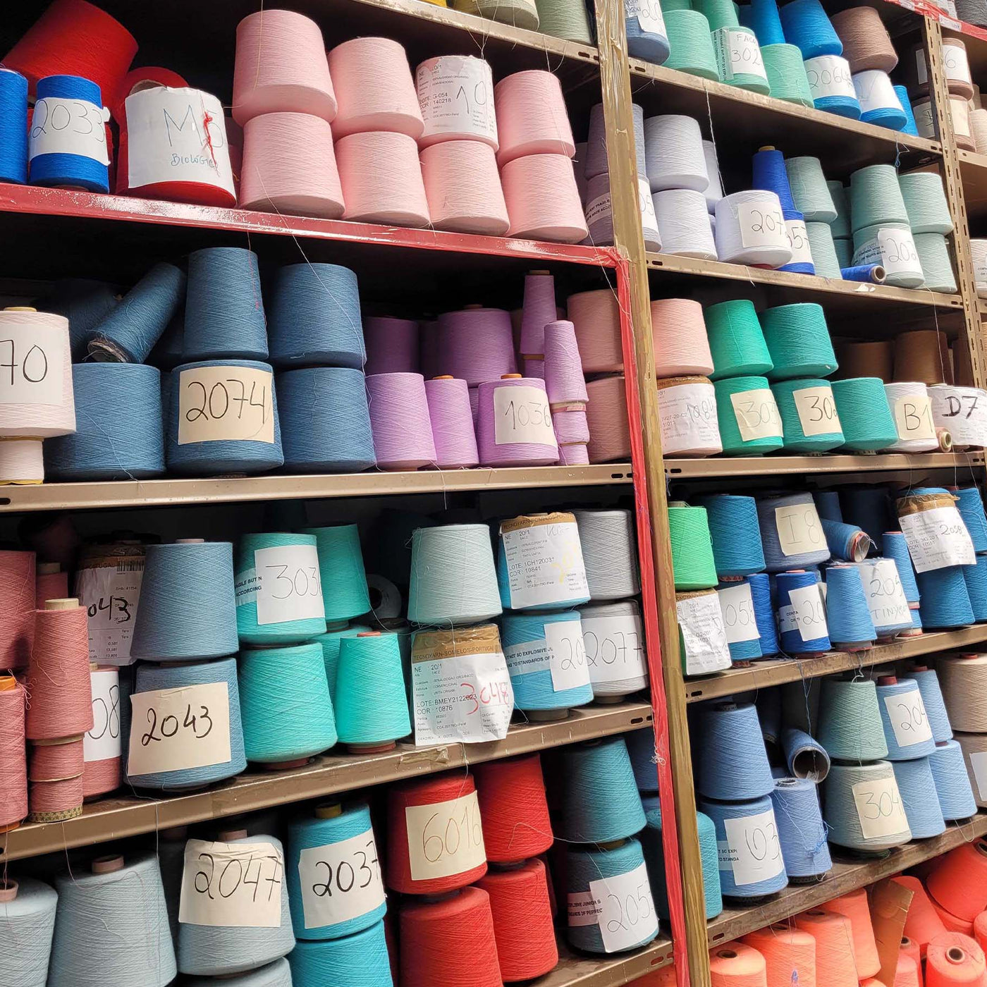 Le Portugal : le jersey et le molleton