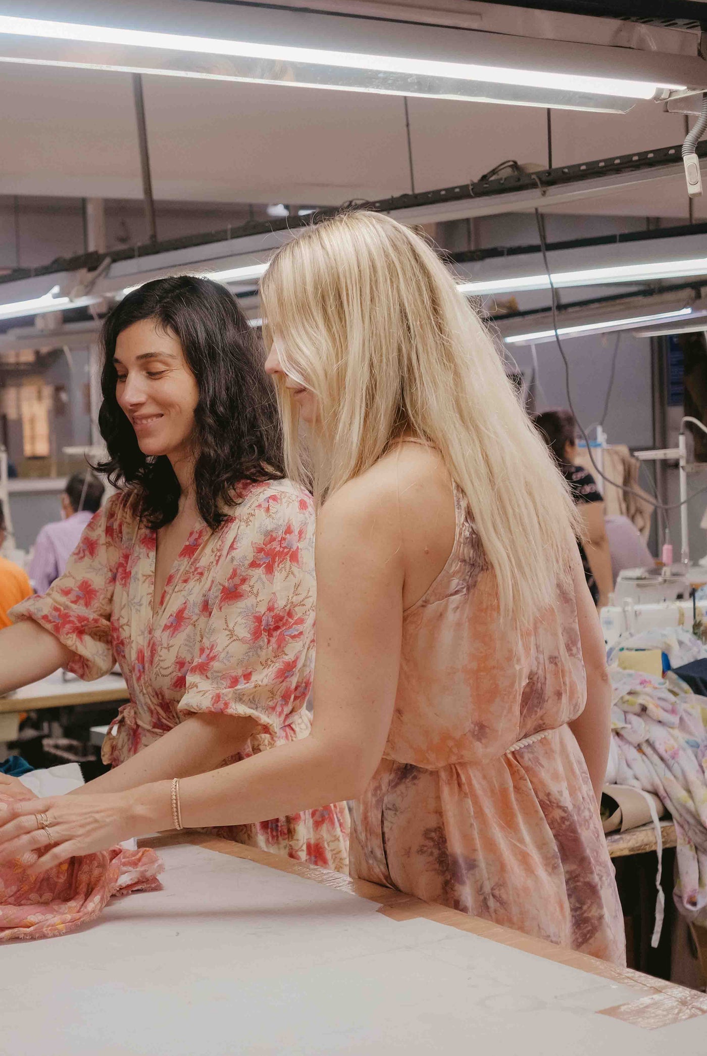 Collections & Maitères