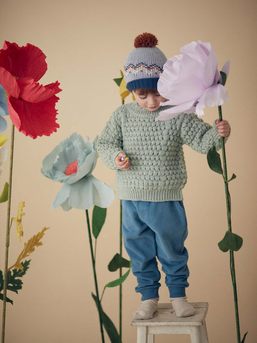 Kid Garçon Jumper Amio Sauge