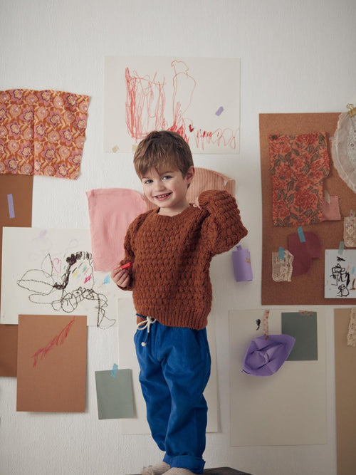 Kid Garçon Jumper Amio Caramel
