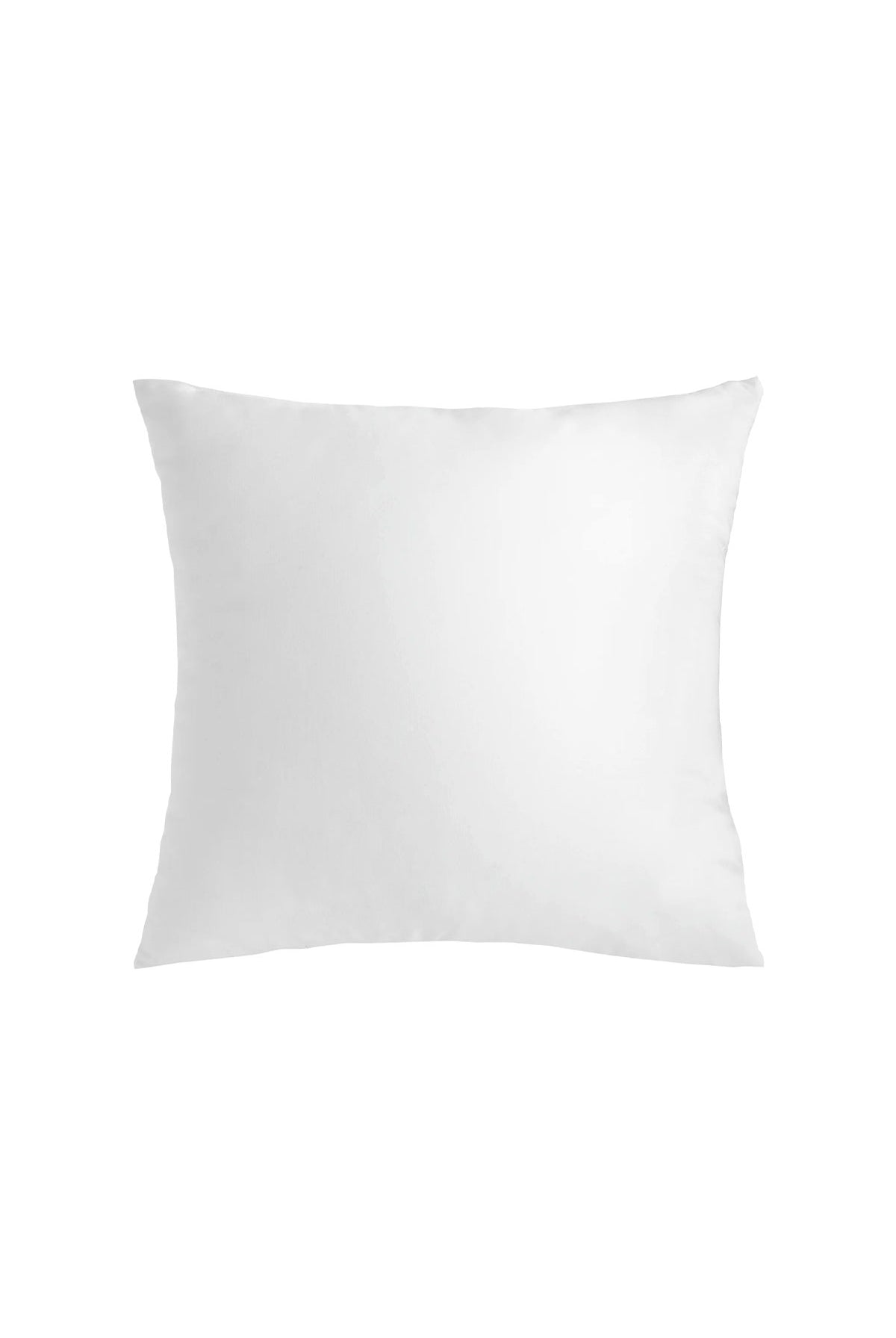 Janet Cushion + Cover