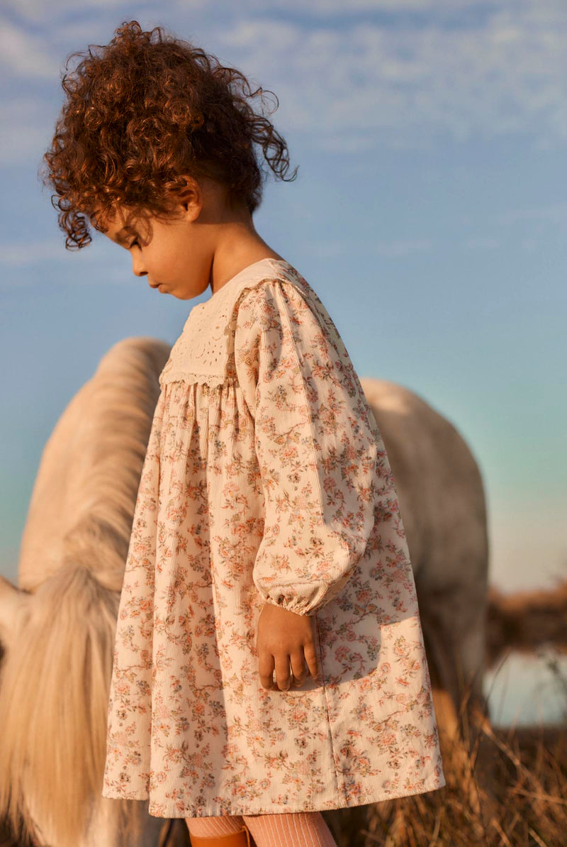 Robe Arinola