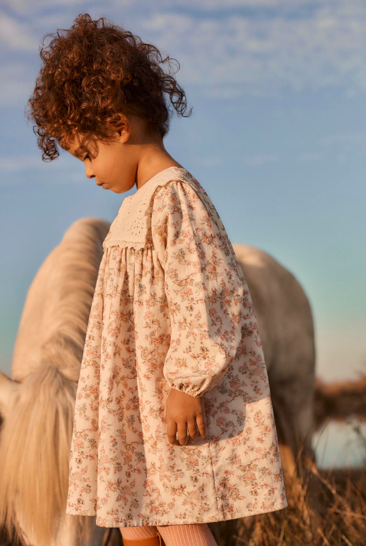Robe Arinola